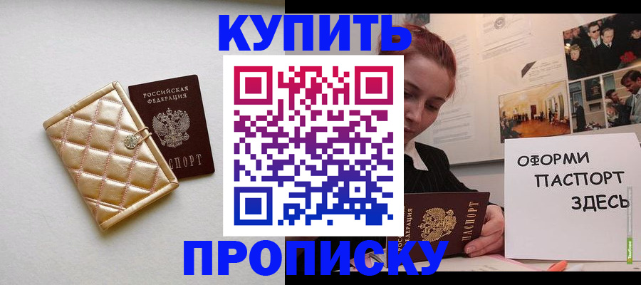 прописка гарантия в Заинске